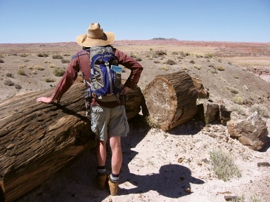 The Petrified Forest National Park offers visitors a chance to explore areas within the park with Off the Beaten Path hikes. There are eight Off the Beaten Path guides that visitors can request in the visitor centers. The guides provide a suggested route through and to specific locations within the park. The hikes vary in distance and difficulty, with the shortest being four miles and the longest eight and a half. The hikes are available year-round. Learn more about each of the hikes by visiting https://www.nps.gov/pefo/off-the-beaten-path.htm.