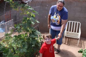 Garden tour JPG