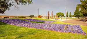 911 Memorial 2