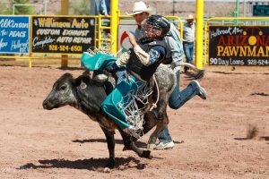NC Fair calf riding1