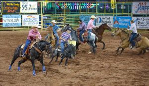 It was an exciting weekend for rodeo at the Navajo County Fair in Holbrook, with plenty of brave cowboys willing to get into the arena for the ride of a lifetime. The fair was another tremendous success, with thousands of people coming from throughout the region.