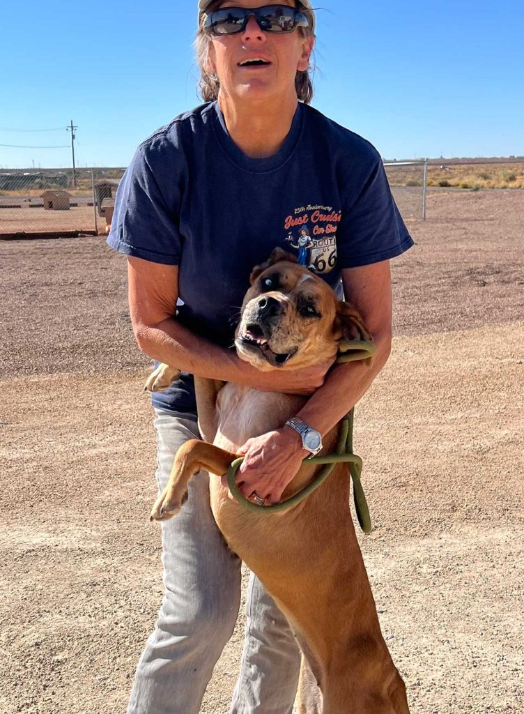 This shelter pup is taking quite the liking to volunteer Kim Gould who attended the Winslow Public Library’s new Out of the Doghouse program.