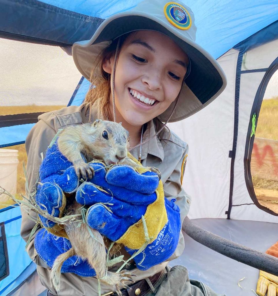 Petrified Forest National Park intern Nizhoni Torrez was able to assist with the park’s prairie dog translocations last week. Petrified Forest has a robust internship program that provides opportunities for youth to explore careers with the national park service. Torres’ internship was sponsored by the Petrified Forest Museum Association.