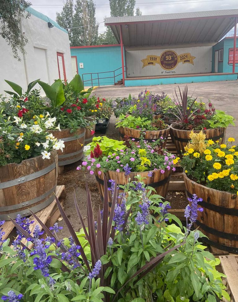 Prep for the Navajo County Fair