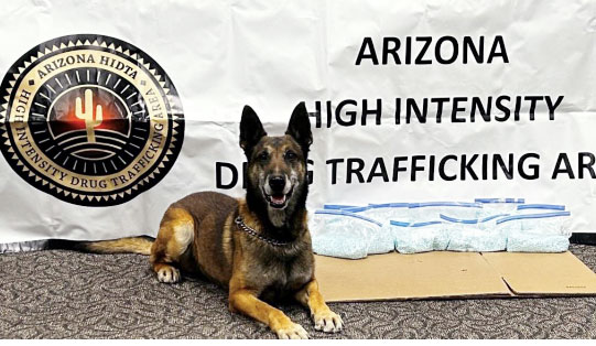 Kilo located 12 pounds of fentanyl in a vehicle during a traffic stop.