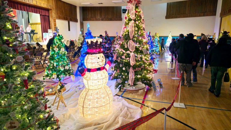 1 Holbrook’s festival of trees delighted those in attendance with an abundance of trees decked out for the holidays.