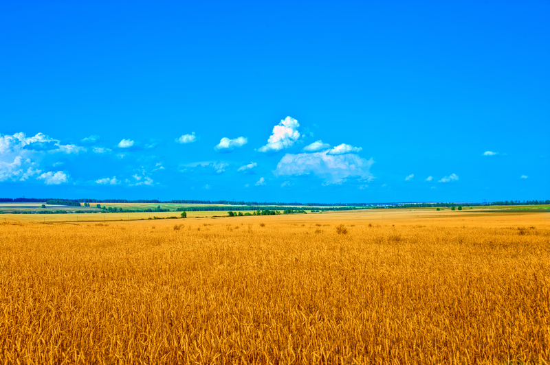 091013 dsc 4995