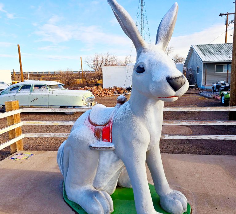 It was a rare site last week, no not Mr. Rabbit the iconic symbol of Jackrabbit Trading Post, but the snowfall received in this part of the region. It’s been a dry, cold winter and the impact is likely to be felt with fire season fast approaching. The Board of Supervisors recently passed fire restrictions, asking all residents and visitors to follow all required precautions.