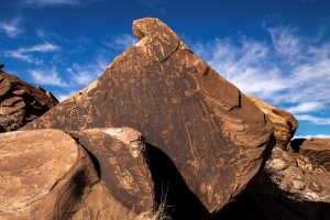 PFNP hikes