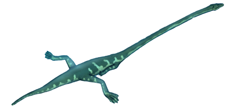 An artistic rendering of a long-necked tanystrophied reptile, the group of animals to which the new discovery belongs.