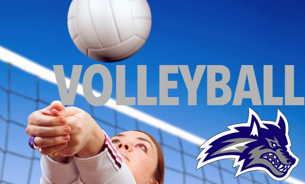 Volleyball Snow