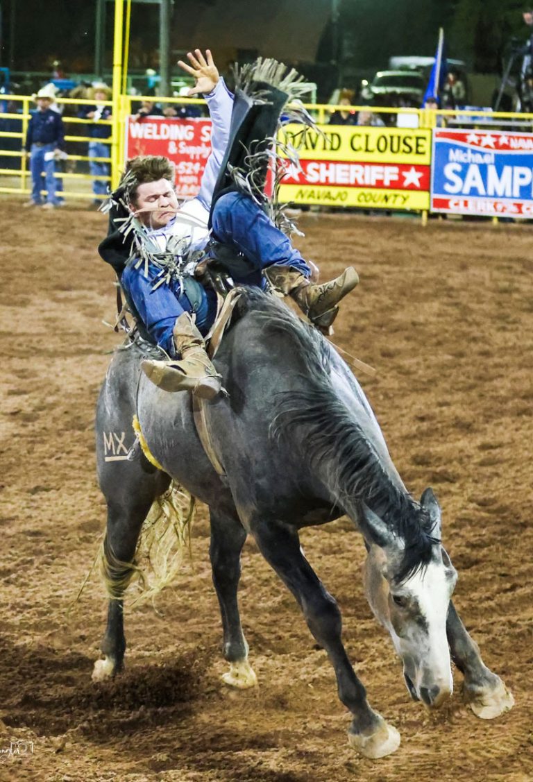 The Navajo County Fair brought four days of excitement to Holbrook last weekend. From rodeo to carnival, the fairgrounds had it all.