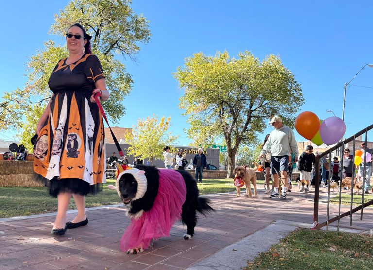 Friends of the Holbrook Animal Shelter, a non-profit that lends volunteer support to the shelter, held its annual Halloween Dog Parade last Saturday, with many excited pets. An adorable unicorn led the way in the parade at the Historic Courthouse in downtown Holbrook with owner Kim Jaster.