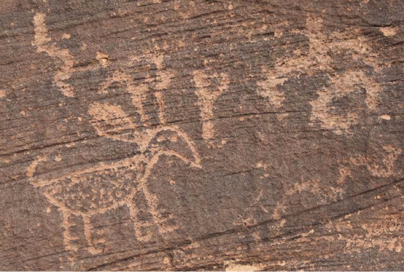 Poster for Homolovi II Ancestral Hopi Pueblo Tour & Petroglyphs
