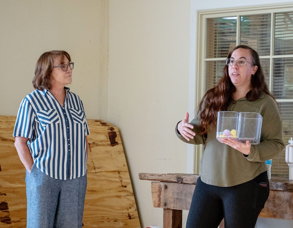 DeLeslie Foster (left) and Cynthia McDowell (right) of Healthy Families Arizona present at Good Morning Winslow.