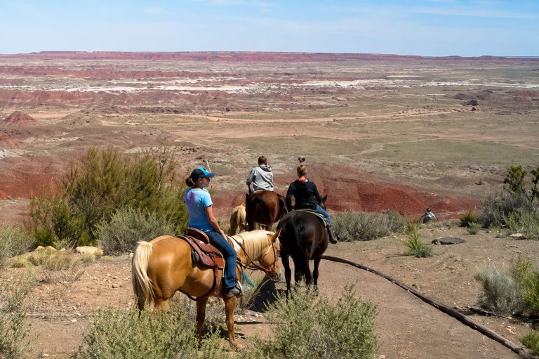 Visitors may know Petrified Forest National Park from the view through a car window, but exploring on horseback offers an entirely different perspective. The Painted Desert Wilderness access trail begins about two miles north of the Painted Desert Visitor Center near Kachina Point and provides access for horse owners to tour the park. To learn more about ways to see the park visit https://www.nps.gov/pefo/index.htm.