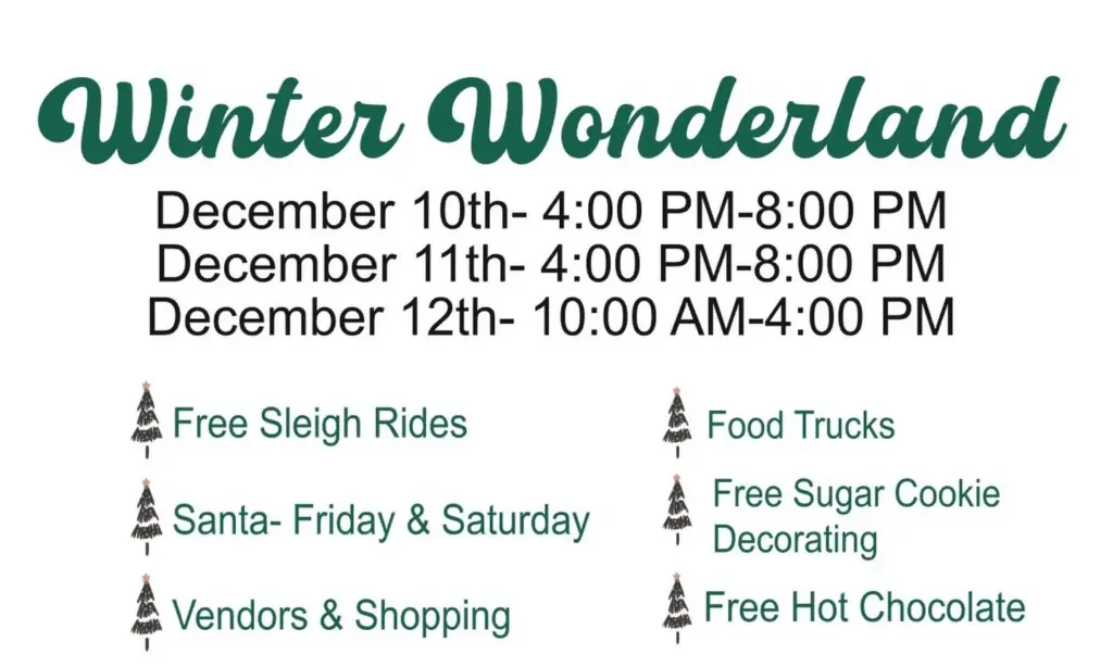 Poster for Winter Wonderland