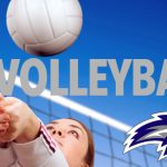 Volleyball Snow