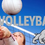 Volleyball WINSLOW