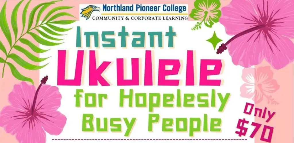 Poster for Instant Ukulele for Hopelessly Busy People