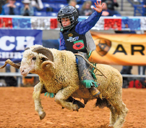 Photo courtesy of the Merritt familyCowboy J.R. Merritt of Taylor is a top sheep rider, taking third in the National Junior Bullriding Finals in Amarillo, Texas.