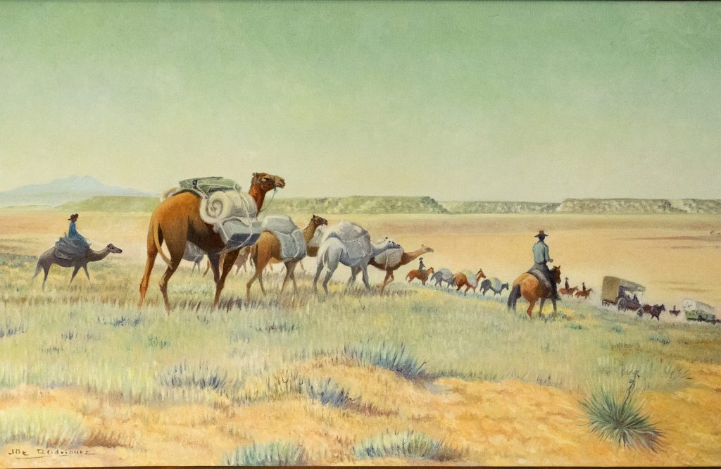 Photo by Todd RothSeveral paintings by Joe Rodriguez hang at the Old Trails Museum in Winslow, including this one depicting the use of camels to cross Arizona.