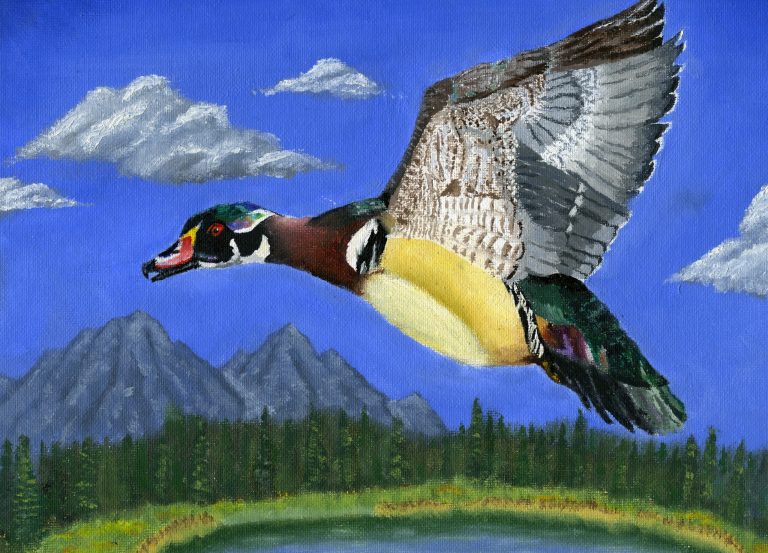 Photo courtesy of the family and Mary KralovecAllie Hunt, a sophomore at Snowflake High School, took third place in the 10th, 11th and 12th grades in the state contest for the Arizona Junior Duck Stamp Conservation and Design Program with her artwork, The Wood Duck.