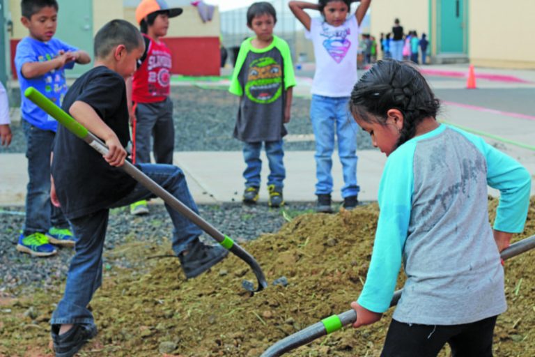 Photo courtesy of the Navajo County Public Health Services DistrictStudents at Indian Wells Elementary School created a garden at their school as part of the Nutrition Services Program implemented by the Navajo County Public Health Services District.