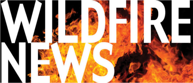 Wildfire News logo