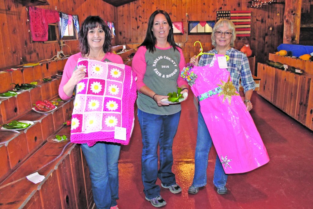Photo by Linda KorThe Navajo County Fair opens today (Sept. 14) and promises fun for everyone. Open Class Superintendent Redgie Justman (left) was busy Monday with volunteers Marlene Sample (center) and Joni Gillespie (right) setting up exhibits for the fair, which feature everything from knitted crafts and homegrown vegetable, to duct tape dresses. The fair runs through Sunday, Sept. 18.