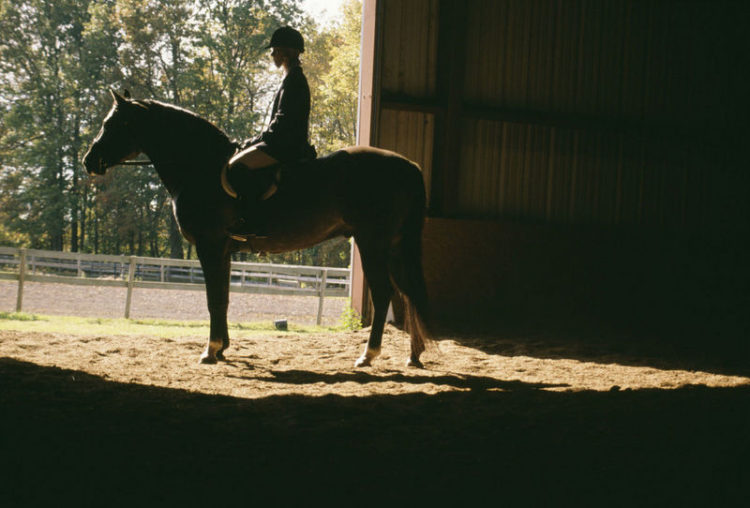 equestrian center