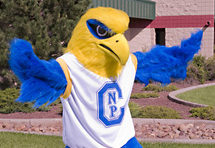 NPC ernie eagle