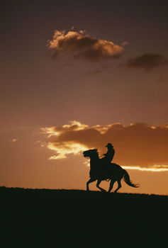 cowboy 1