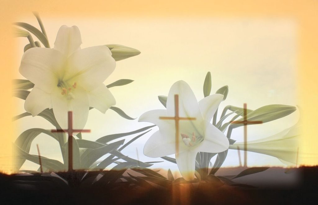 The Tribune-News staff photoThe lily and the cross symbolize the hope provided by the resurrection of Christ. Many will celebrate the holiness of this event on Easter Sunday, April 16, by attending special services at area churches.