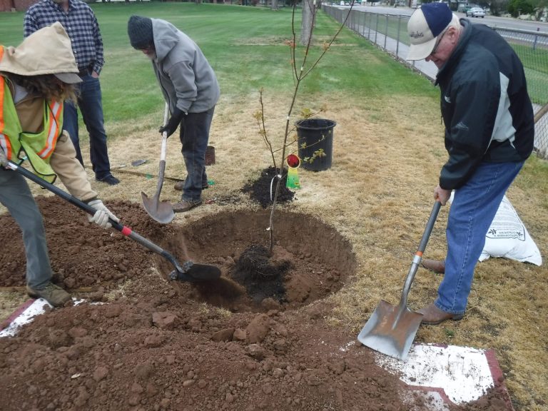 Arbor Day