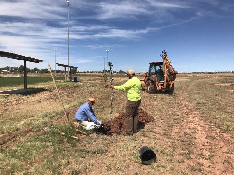 Photo by Jeremy PetersJohn Romero (left) and Tyler Jackson (right) finish up planting 30 new trees in Freeman Park in Taylor. Earlier this year the town staff installed a drip line irrigation system throughout the park for the trees.