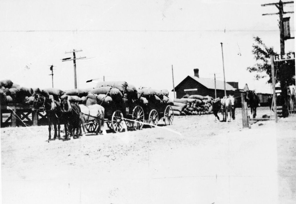 Photo courtesy of the Navajo County Historical SocietyNear the turn of the 20th century, Holbrook was the primary shipping point for wool and was the center of commerce for eastern Arizona. After the Atlantic and Pacific Railroad was laid in 1881, 300,000 pounds of wool was shipped from Holbrook. By 1896, the freight depot was handling about 1.1 million pounds of wool a year, along with cattle and sheep. Here, mules haul their heavy loads into the rail station in 1900.