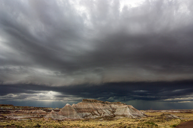 Monsoons over PFNP