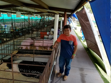 Photo courtesy of Indian Wells Elementary SchoolAlex Dayea shows his Indian Wells Elementary School classmates his pig, Zoey.