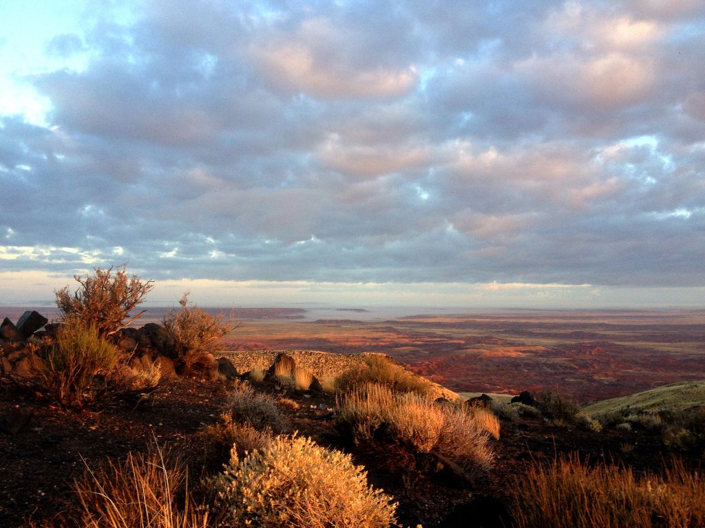 Photo courtesy of the Petrified Forest National ParkThe Petrified Forest National Park provides a year-round opportunity to enjoy the history and beauty within the park including views such as this view from Pilot Rockt. The public is invited to take the opportunity to attend the park free of charge from 8 a.m. to 5 p.m. this Monday, Jan. 15, in celebration of Martin Luther King Day.