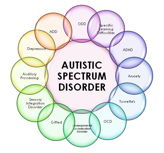 This graphic shows the many disorders that fall under the autism spectrum. Educators are constantly working to find way to serve this unique, and oftentimes gifted, group of students.