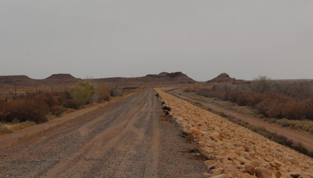 View from the east side of the Little Colorado Levee System. The top of the levee provides a great vantage point to view wildlife in Holbrook. A great place to walk and enjoy the place we call home.