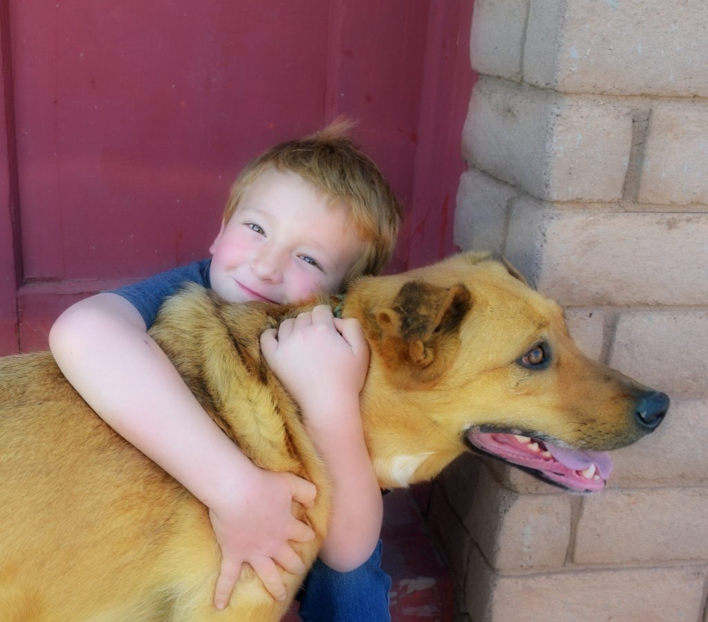 Photo by Chantilly SmithThe second annual Painted Paws is set for May 12 in Winslow. Pets and their owners such as Stratton Salyers Jr. (pictured) and best his friend Gunner, a rescue pup, make plans to take part in the event.