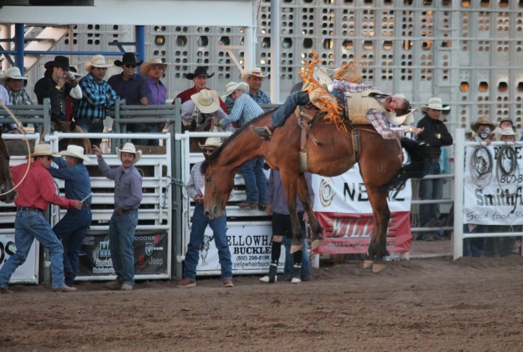 Photo by Diana HutchisonThe 64th annual Taylor Night Rodeo was held on Saturday and packed stands watched bareback competitor, John Killian, get a score of 75 with this ride.
