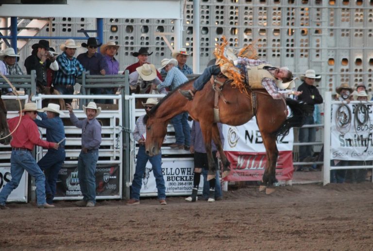 Photo by Diana HutchisonThe 64th annual Taylor Night Rodeo was held on Saturday and packed stands watched bareback competitor, John Killian, get a score of 75 with this ride.