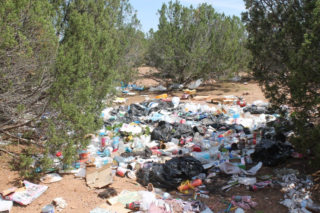 Photo by Diana HutchisonIllegal dumping is a chronic problem in the Apache-Sitgreaves National Forest. Through the power of social media local volunteers have already cleaned up this area off Pinedale Road in Taylor and authorities were able to identify those who were allegedly responsible from items in the trash.
