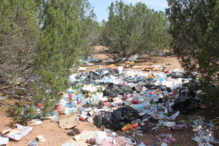 Photo by Diana HutchisonIllegal dumping is a chronic problem in the Apache-Sitgreaves National Forest. Through the power of social media local volunteers have already cleaned up this area off Pinedale Road in Taylor and authorities were able to identify those who were allegedly responsible from items in the trash.