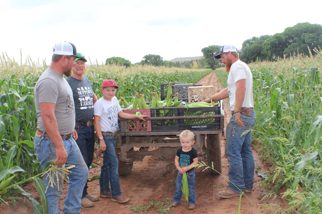 Photo by Toni GibbonsThree generations of the Hatch family continue the tradition of growing, harvesting and selling sweet corn that Wes Hatch started in the 1980s at the Sunrise Farms in Taylor. Hatch family pictured here are (left to right) Wes, Konner, Waylon, Logan and Wyatt.