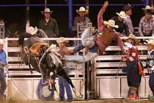 Photo by Justin BurtIt’s boots and spurs as a cowboy takes the high dive during a bronc ride at last year’s Taylor Ranch Rodeo.