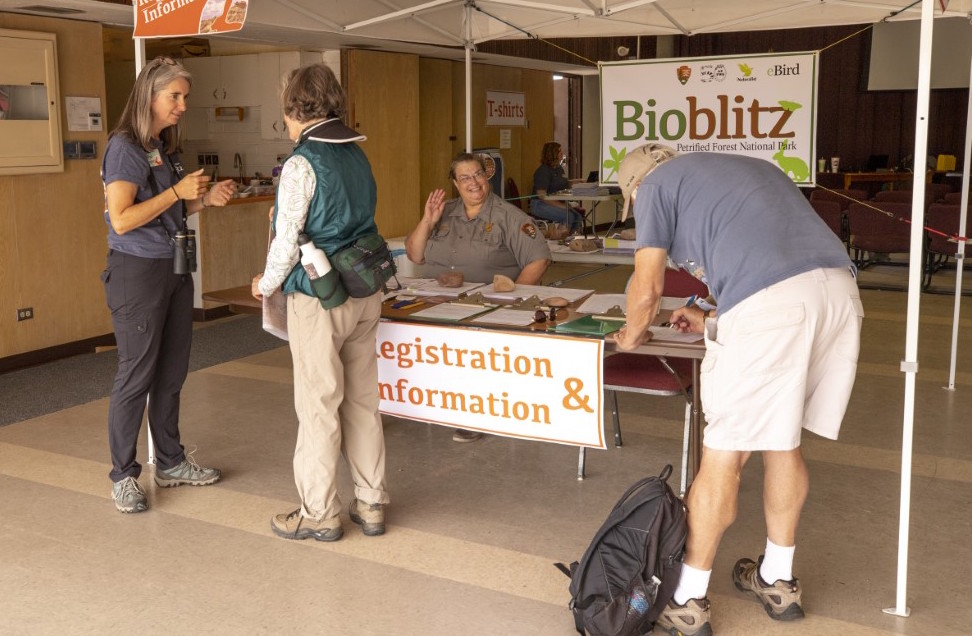 Photo by Jacob HolgersonBioBlitz Volunteer Pat Lopez (left) talks with a fellow BioBlitzer while Ranger Hallie Larsen (right) welcomes other participants to the Petrified Forest National Park’s Third Biennial BioBlitz.